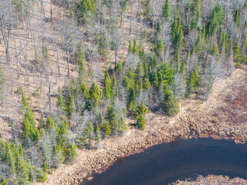 On Bear Tail Pt, , Phelps,  WI 54554