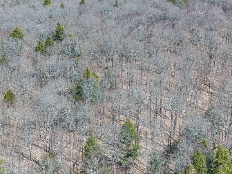 On Bear Tail Pt, , Phelps,  WI 54554