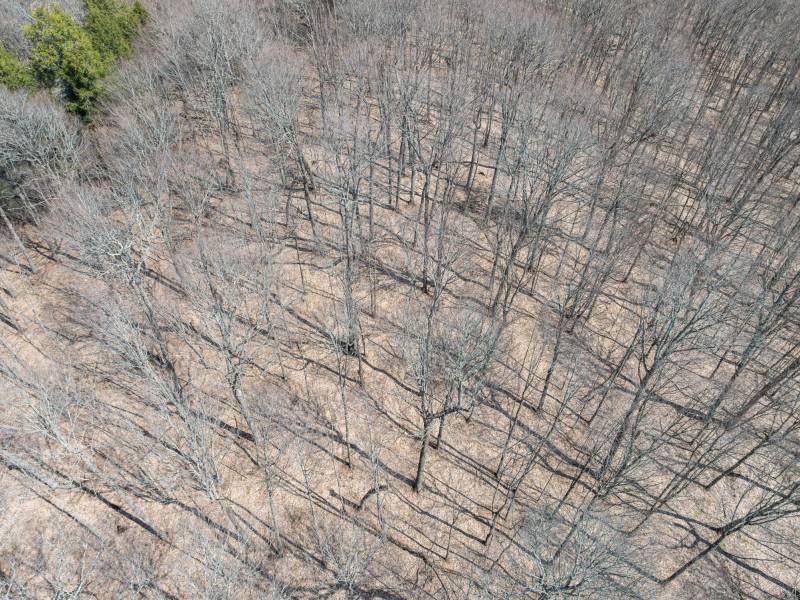 On Bear Tail Pt, , Phelps,  WI 54554