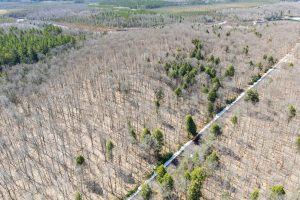 On Bear Tail Pt, , Phelps,  WI 54554