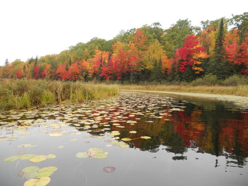 On Bear Tail Pt, , Phelps,  WI 54554