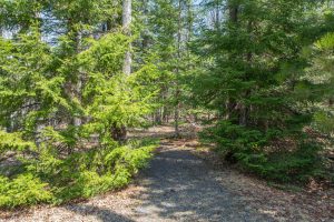 On Bear Tail Pt, , Phelps,  WI 54554