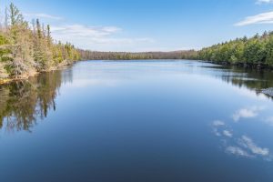 On Bear Tail Pt, , Phelps,  WI 54554