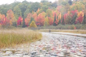 On Bear Tail Pt, , Phelps,  WI 54554