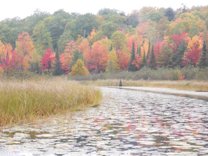 On Bear Tail Pt, , Phelps,  WI 54554