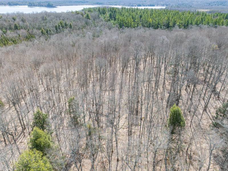 On Bear Tail Pt, , Phelps,  WI 54554