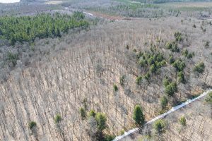 On Bear Tail Pt, , Phelps,  WI 54554