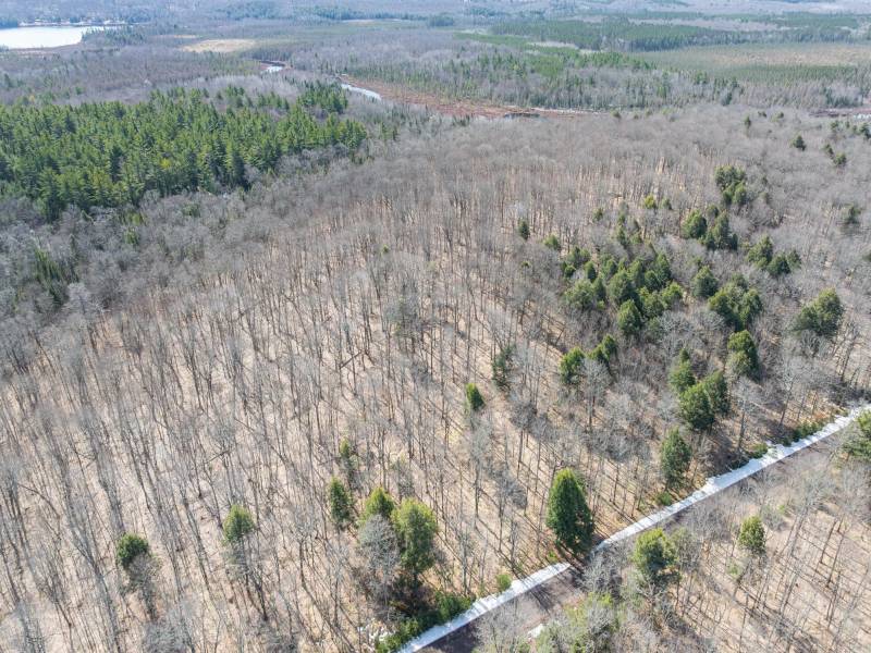 On Bear Tail Pt, , Phelps,  WI 54554