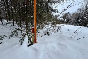 On Loop Rd, , Bradley,  WI 54487