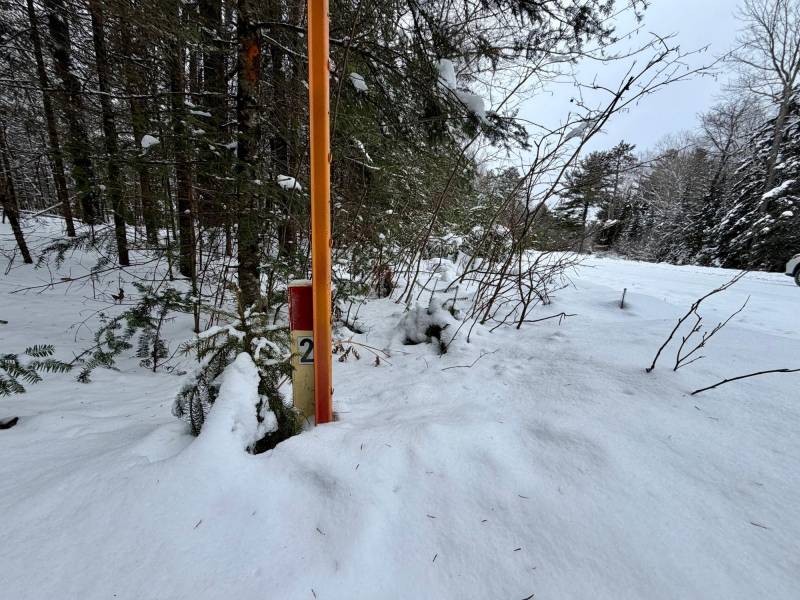 On Loop Rd, , Bradley,  WI 54487