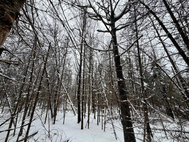 On Loop Rd, , Bradley,  WI 54487