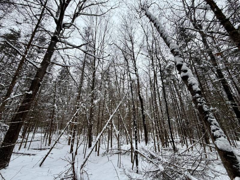 On Loop Rd, , Bradley,  WI 54487