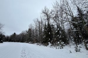 On Loop Rd, , Bradley,  WI 54487