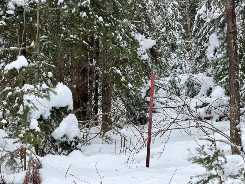 On Loop Rd, , Bradley,  WI 54487