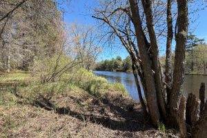 On Wolf Rd, , Lake Tomahawk,  WI 54539