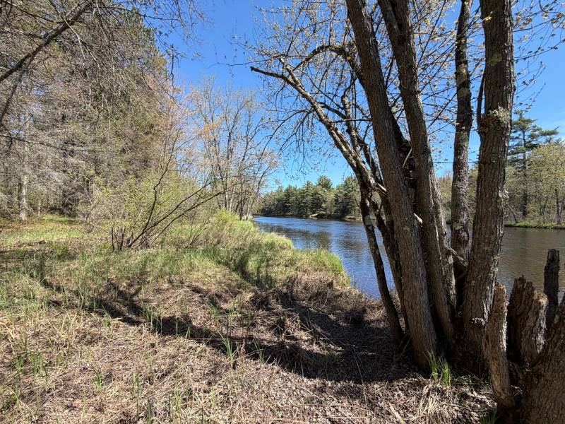 On Wolf Rd, , Lake Tomahawk,  WI 54539