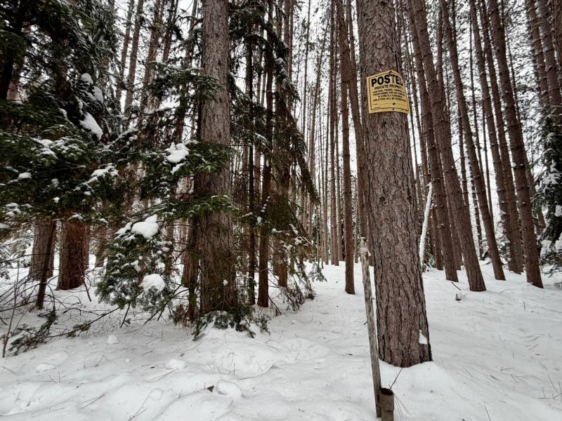 On Wolf Rd, , Lake Tomahawk,  WI 54539