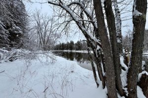 On Wolf Rd, , Lake Tomahawk,  WI 54539