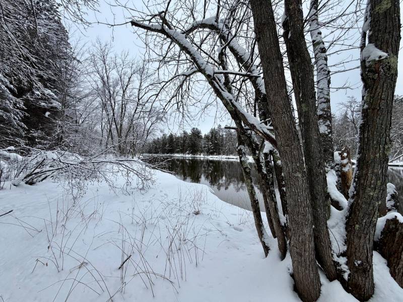 On Wolf Rd, , Lake Tomahawk,  WI 54539