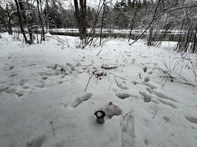 On Wolf Rd, , Lake Tomahawk,  WI 54539