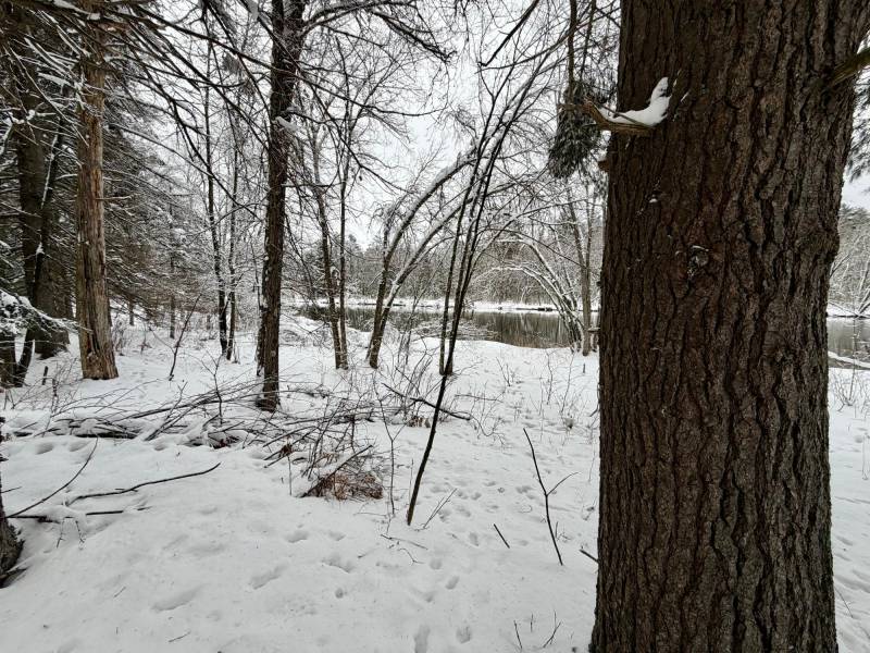 On Wolf Rd, , Lake Tomahawk,  WI 54539