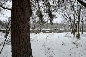 On Wolf Rd, , Lake Tomahawk,  WI 54539