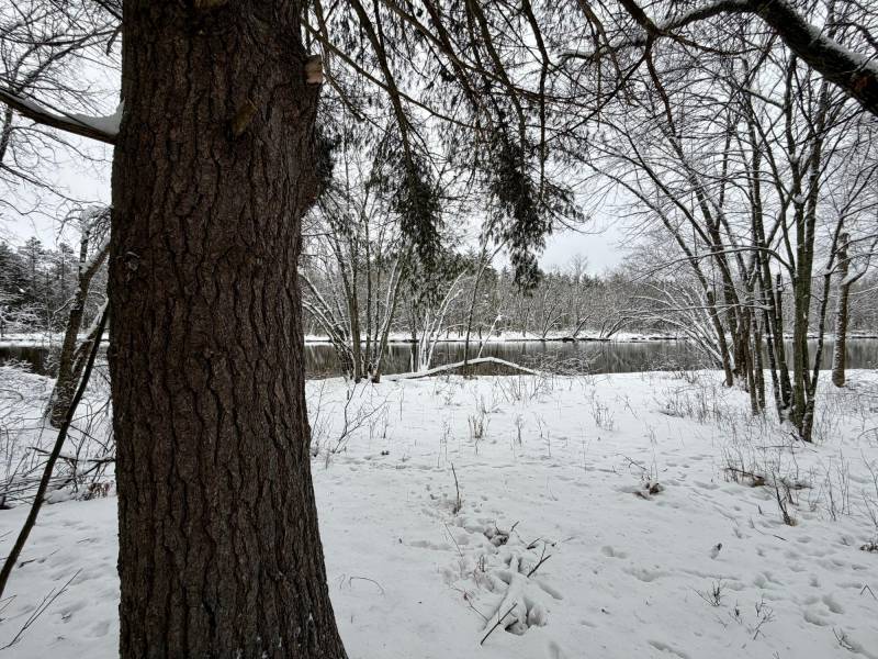 On Wolf Rd, , Lake Tomahawk,  WI 54539