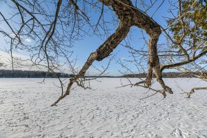 , Long Lake,  WI 54542