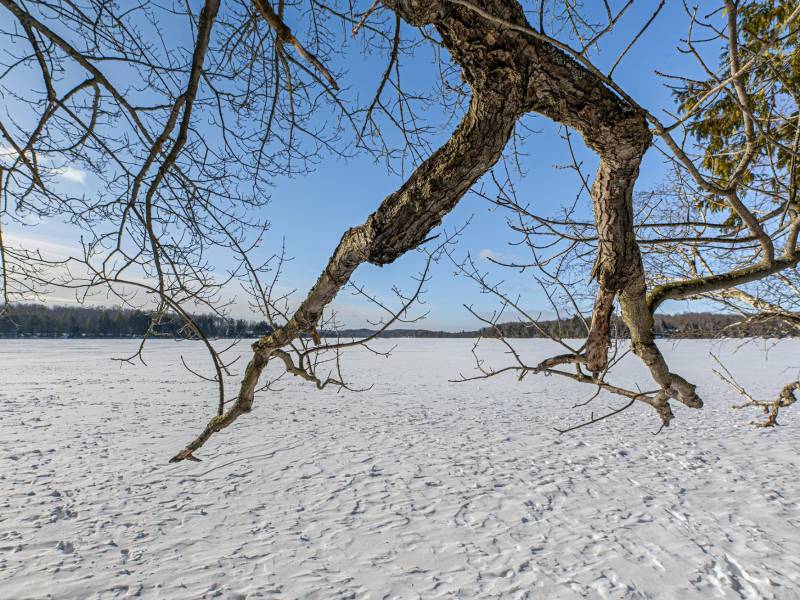 , Long Lake,  WI 54542