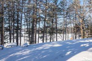 3491 Birch Haven Ln, Washington, Eagle River,  WI 54521 United States