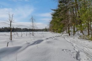 14295 Little Ten Ln, , Lac Du Flambeau,  WI 54538