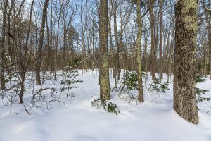 14295 Little Ten Ln, , Lac Du Flambeau,  WI 54538