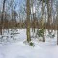 14295 Little Ten Ln, , Lac Du Flambeau,  WI 54538