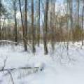14295 Little Ten Ln, , Lac Du Flambeau,  WI 54538
