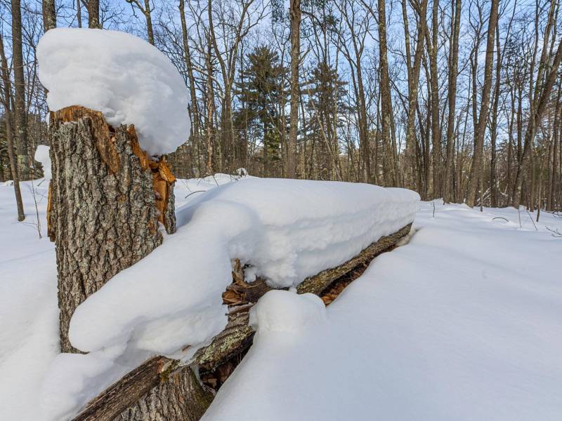 14295 Little Ten Ln, , Lac Du Flambeau,  WI 54538