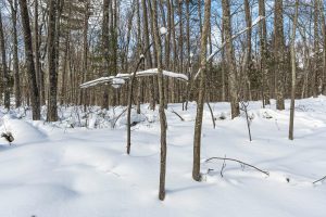 14295 Little Ten Ln, , Lac Du Flambeau,  WI 54538