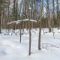 14295 Little Ten Ln, , Lac Du Flambeau,  WI 54538