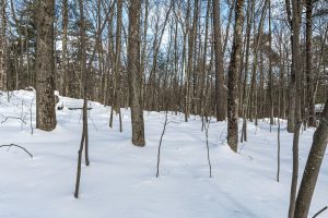 14295 Little Ten Ln, , Lac Du Flambeau,  WI 54538