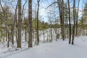14295 Little Ten Ln, , Lac Du Flambeau,  WI 54538