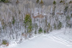 14295 Little Ten Ln, , Lac Du Flambeau,  WI 54538