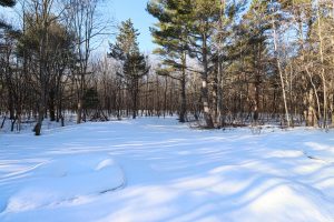 12806 Tall Pines Dr, Lac du Flambeau, Minocqua,  WI 54548 USA