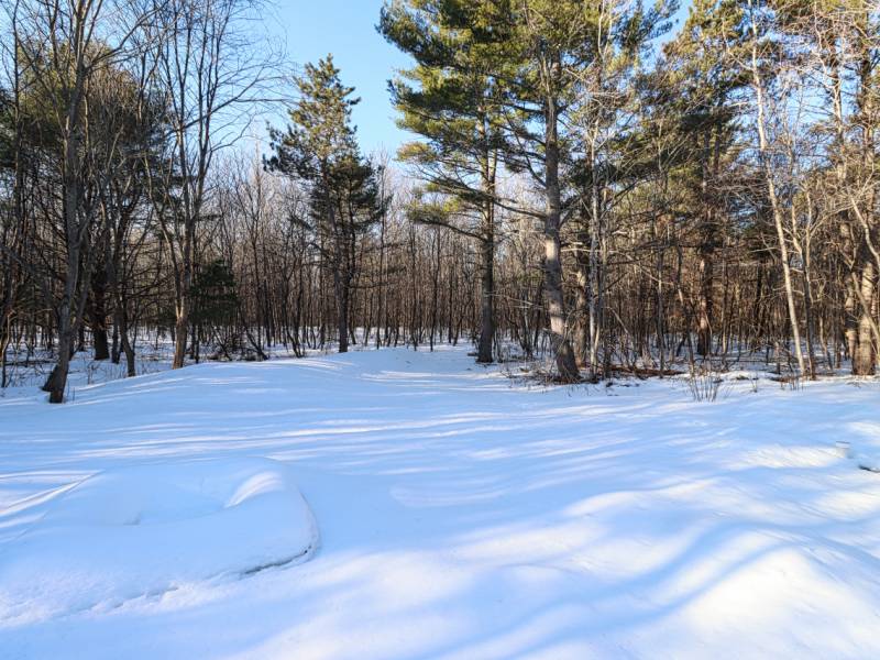 12806 Tall Pines Dr, Lac du Flambeau, Minocqua,  WI 54548 USA