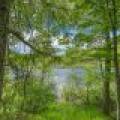 , Florence,  WI 54121 USA