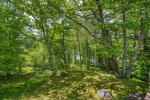 , Florence,  WI 54121 USA