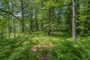 , Florence,  WI 54121 USA