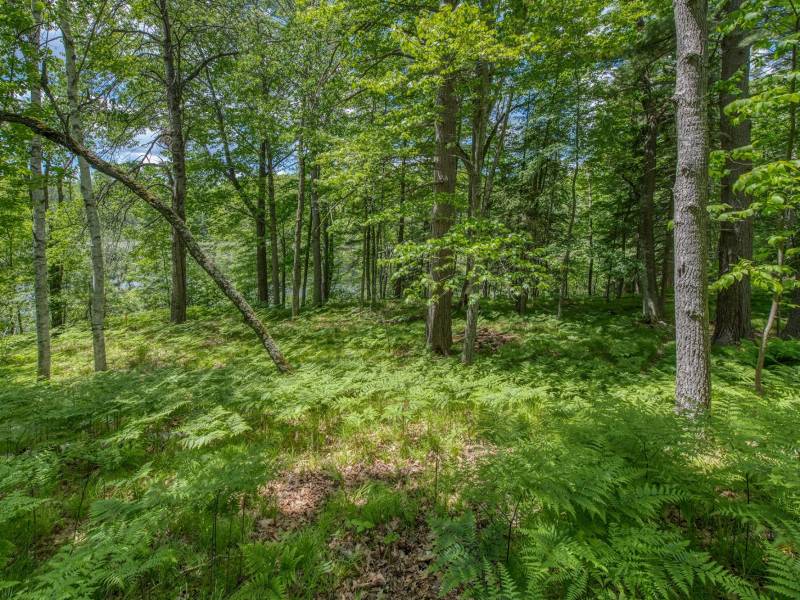 , Florence,  WI 54121 USA