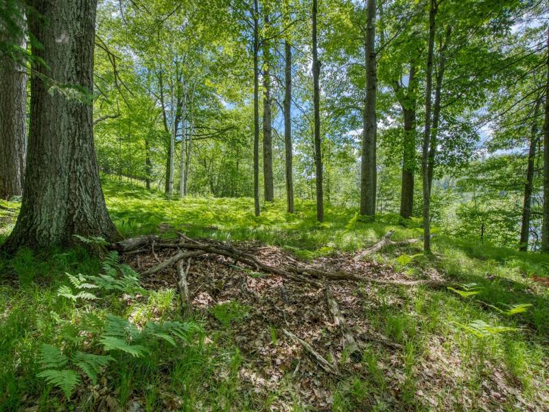 , Florence,  WI 54121 USA