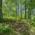 , Florence,  WI 54121 USA