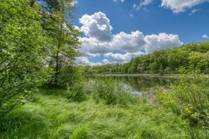 , Florence,  WI 54121 USA