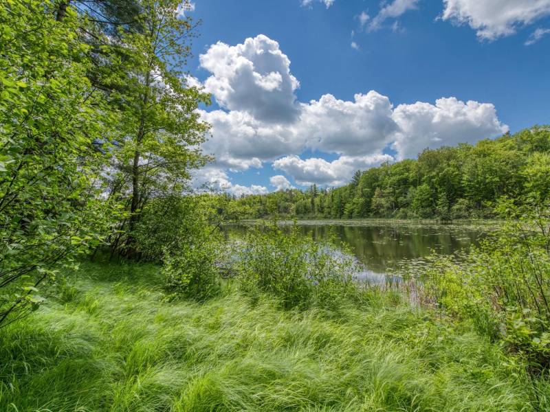 , Florence,  WI 54121 USA